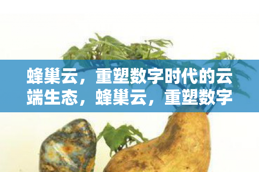 重塑数字时代的云端生态图片