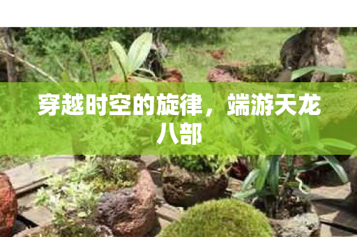 穿越时空的旋律图片