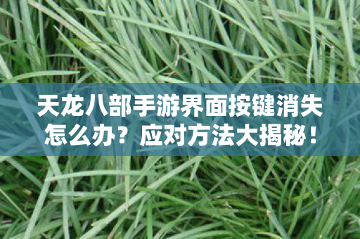 天龙八部手游界面按键消失怎么办图片
