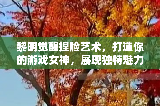 黎明觉醒捏脸艺术图片