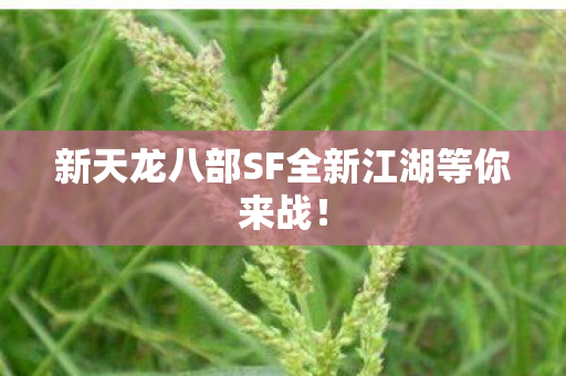 新天龙八部SF全新江湖等你来战图片