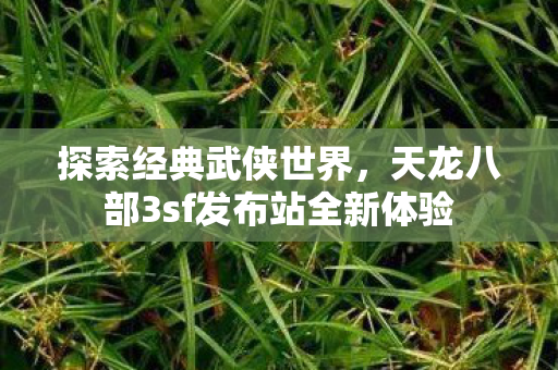 天龙八部3sf发布站全新体验图片