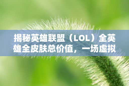 揭秘英雄联盟（LOL）全英雄全皮肤总价值，一场虚拟世界的财富之旅，揭秘LOL全英雄全皮肤总价值，虚拟世界的财富之旅
