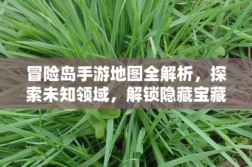 冒险岛手游地图全解析图片