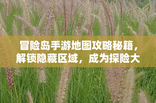 冒险岛手游地图攻略秘籍图片