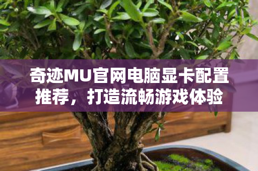 奇迹MU官网电脑显卡配置推荐图片