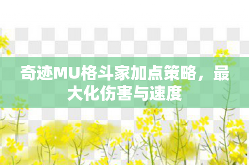 奇迹MU格斗家加点策略图片