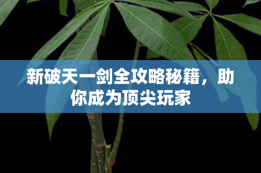 新破天一剑全攻略秘籍图片