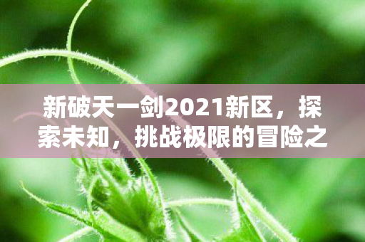 新破天一剑2021新区,探索未知,挑战极限的冒险之旅 新破天一剑2021新区,探索未知,挑战极限的冒险之旅