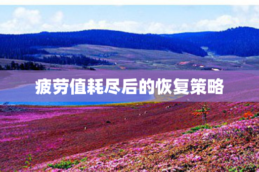 疲劳值耗尽后的恢复策略图片
