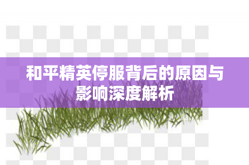 和平精英停服背后的原因与影响深度解析图片