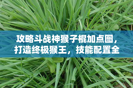 攻略斗战神猴子棍加点图图片