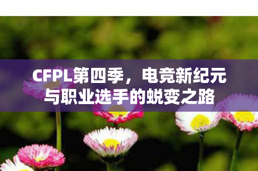 电竞新纪元与职业选手的蜕变之路图片
