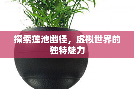 虚拟世界的独特魅力图片