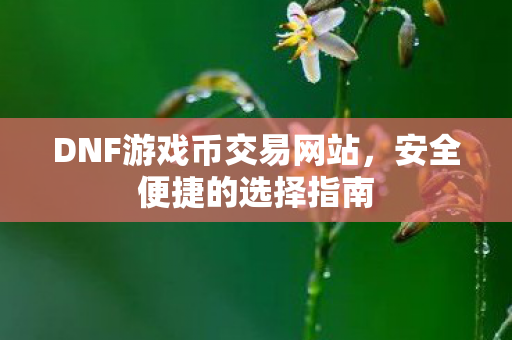 DNF游戏币交易网站图片