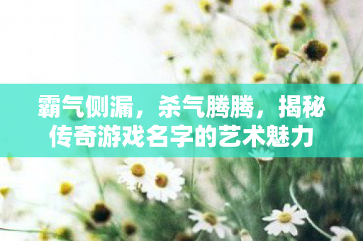 揭秘传奇游戏名字的艺术魅力图片