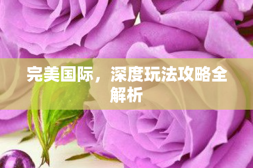 深度玩法攻略全解析图片