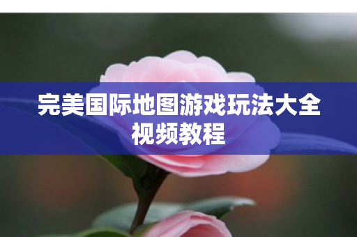 完美国际地图游戏玩法大全视频教程图片