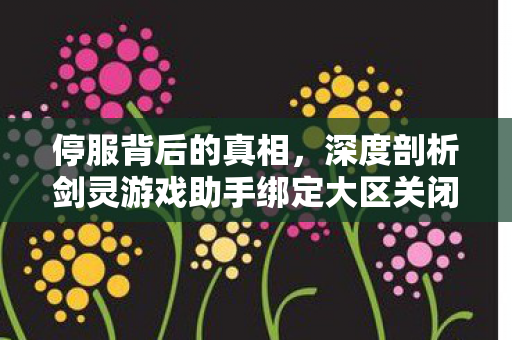 深度剖析剑灵游戏助手绑定大区关闭的缘由图片