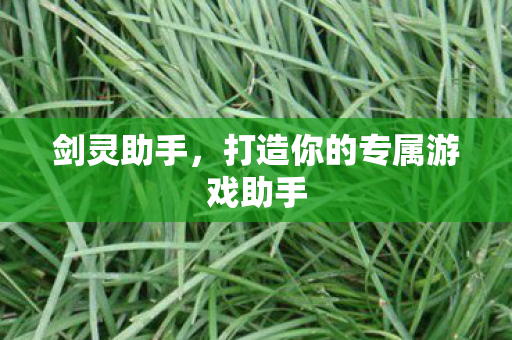 打造你的专属游戏助手图片