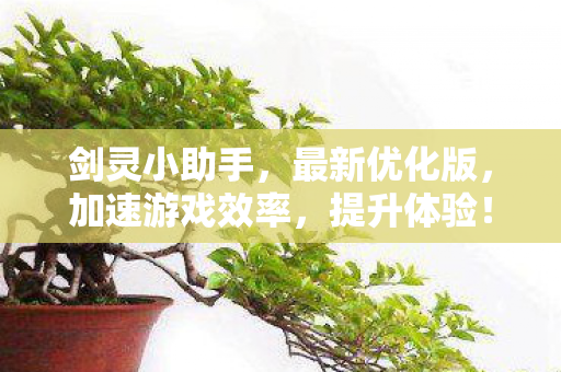 加速游戏效率图片