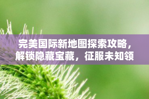 完美国际新地图探索攻略图片