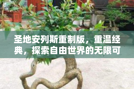 探索自由世界的无限可能图片