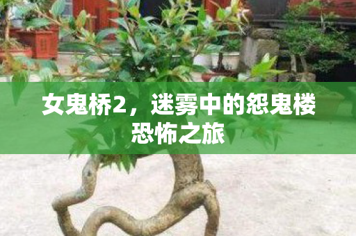 迷雾中的怨鬼楼恐怖之旅图片