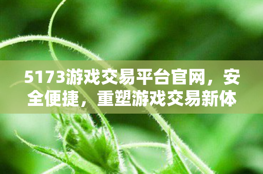 5173游戏交易平台官网图片