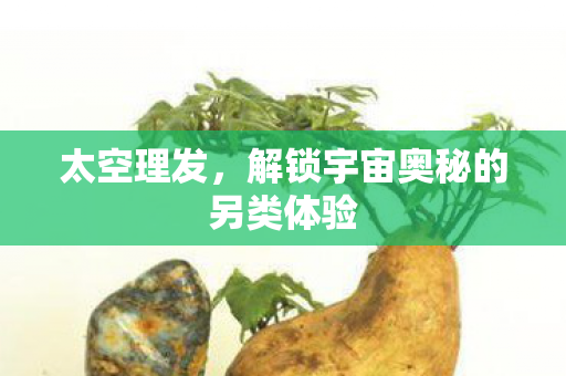 解锁宇宙奥秘的另类体验图片