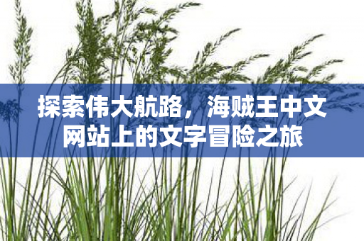 海贼王中文网站上的文字冒险之旅图片