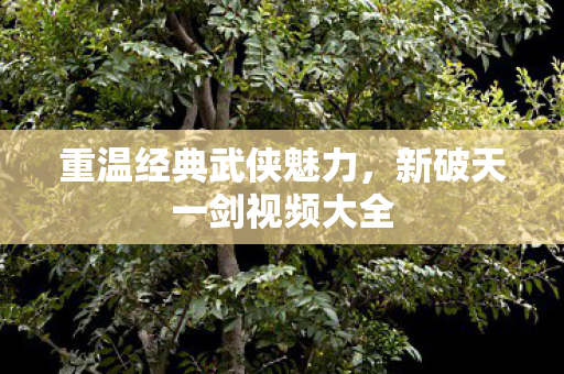新破天一剑视频大全图片
