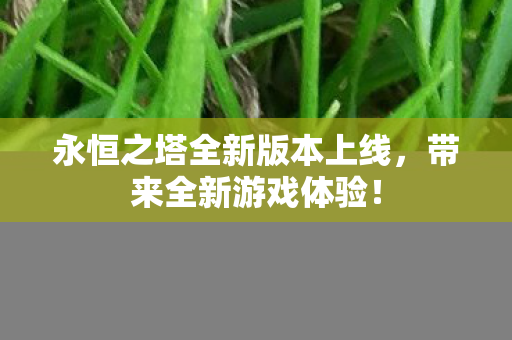永恒之塔全新版本上线，带来全新游戏体验！