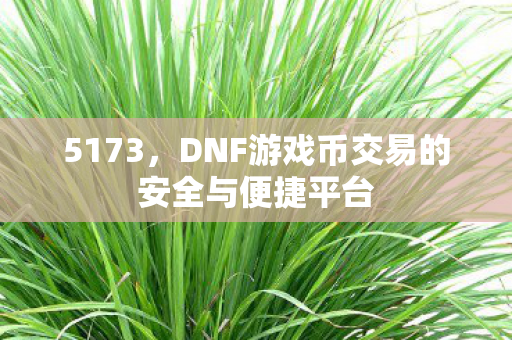 DNF游戏币交易的安全与便捷平台图片