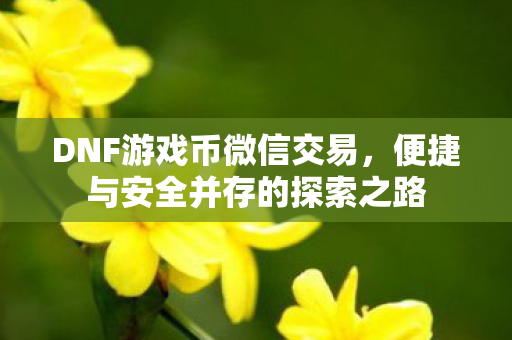 便捷与安全并存的探索之路图片