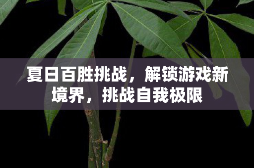 解锁游戏新境界图片
