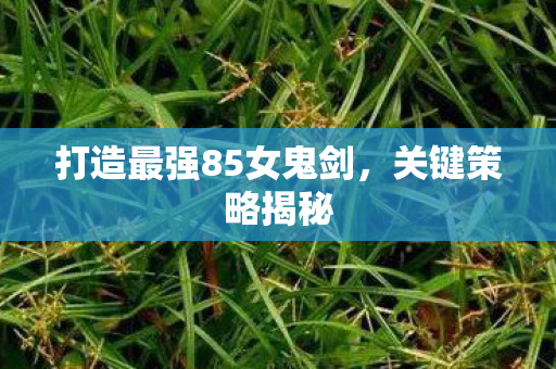 打造最强85女鬼剑图片