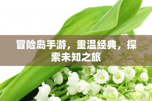 探索未知之旅图片