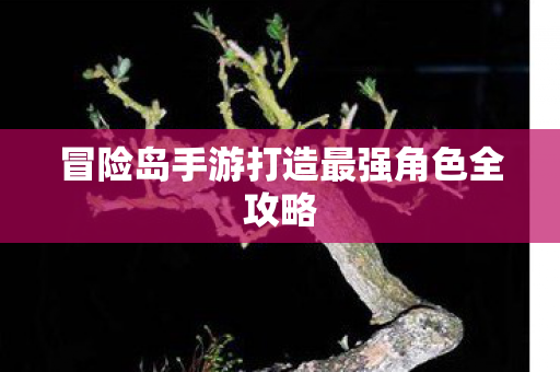 冒险岛手游打造最强角色全攻略图片