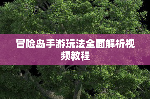 冒险岛手游玩法全面解析视频教程图片