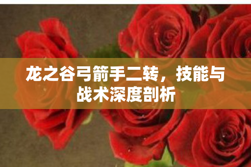 技能与战术深度剖析图片