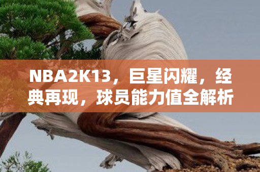 球员能力值全解析图片