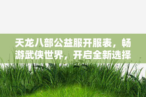 天龙八部公益服开服表图片