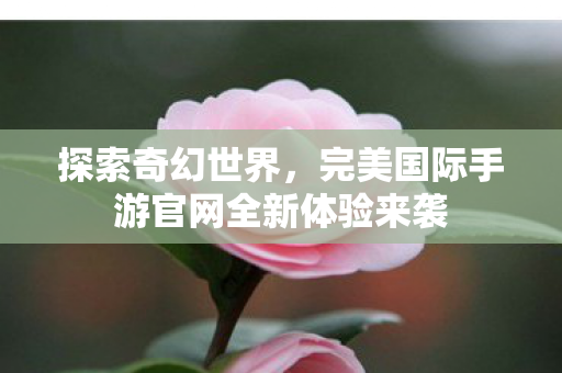 完美国际手游官网全新体验来袭图片