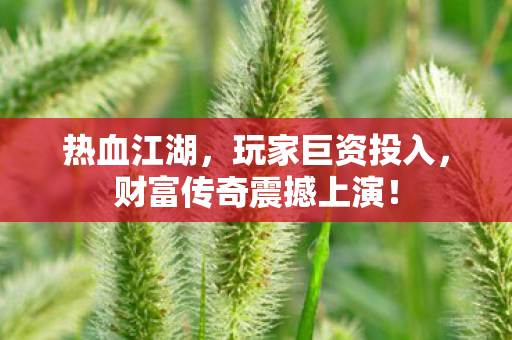 热血江湖，玩家巨资投入，财富传奇震撼上演！