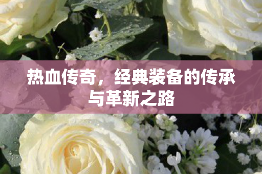 经典装备的传承与革新之路图片