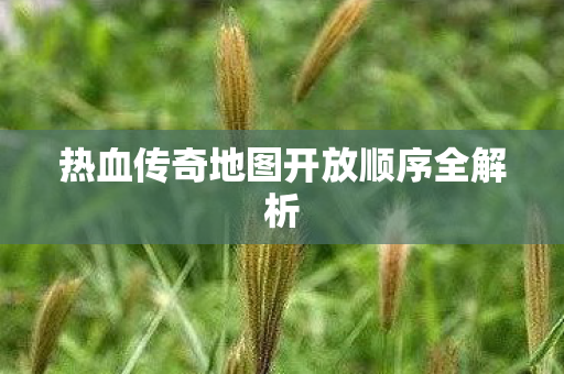 热血传奇地图开放顺序全解析图片