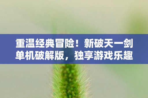 新破天一剑单机破解版图片