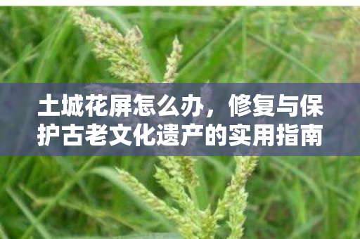 土城花屏怎么办，修复与保护古老文化遗产的实用指南，土城花屏修复与保护，实用指南