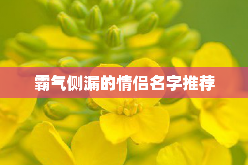 霸气侧漏的情侣名字推荐图片